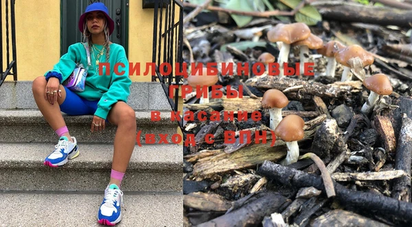 спиды Магадан