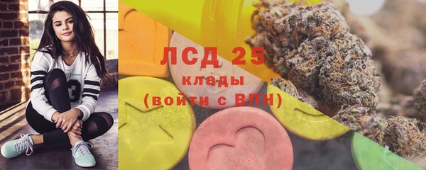 спайс Магас