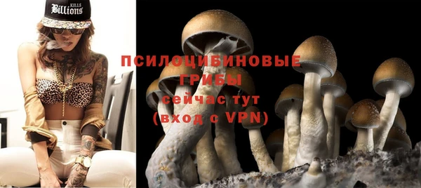 спайс Магас