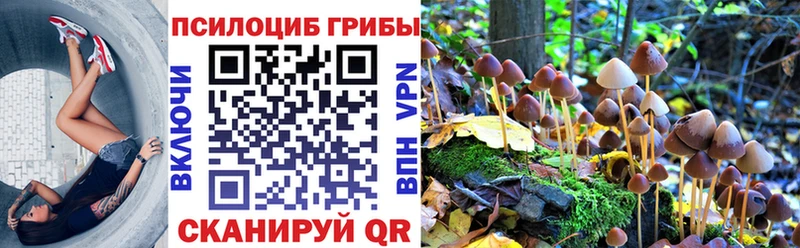 Купить где  Котовск  Псилоцибиновые грибы мухоморы 