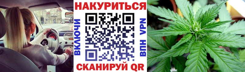 Бошки Шишки THC 21%  Купить закладки  Котовск 